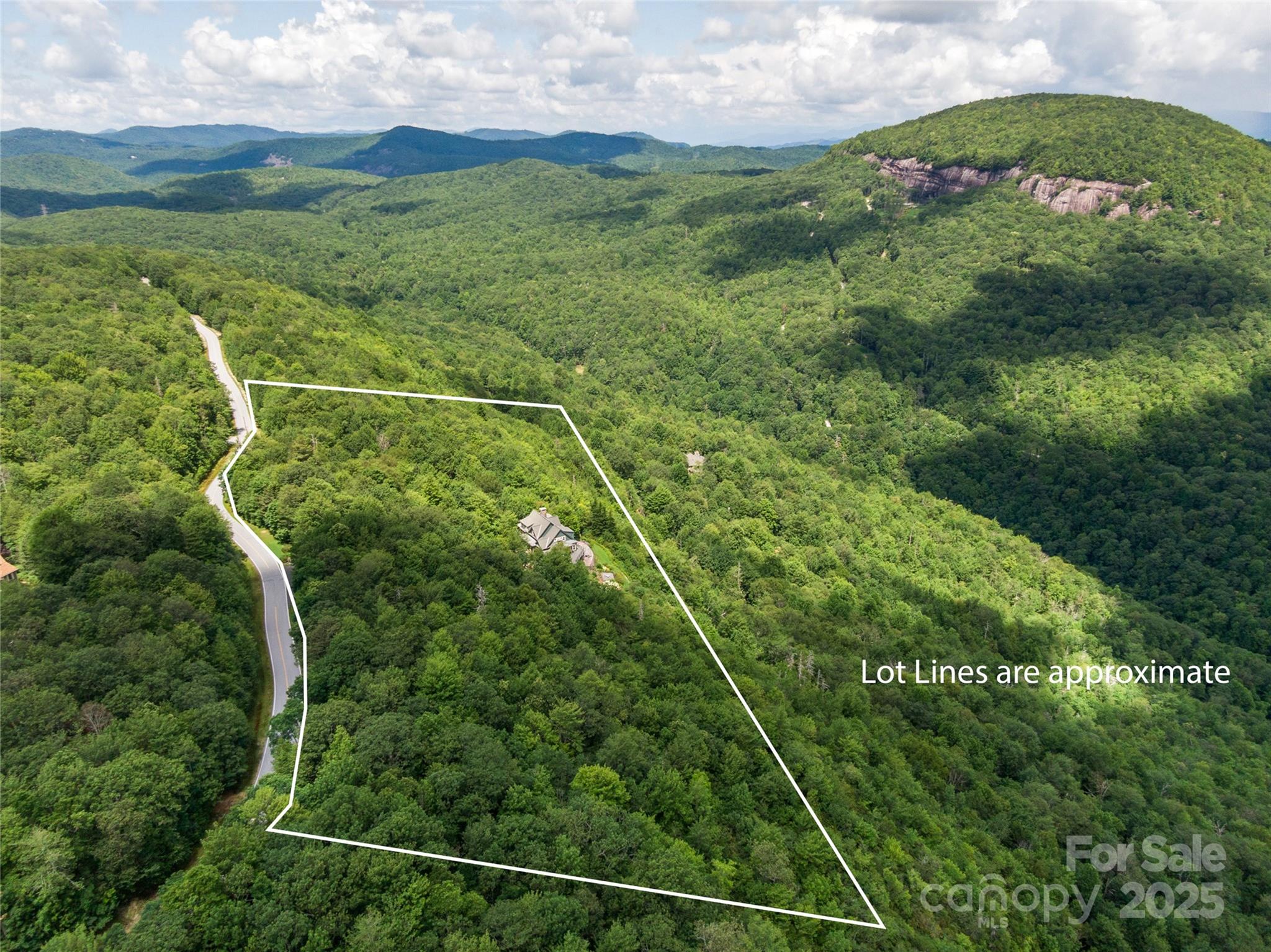 770 Mdw Rdg Drive Lake Toxaway, NC 28747 - Photo 3 of 48