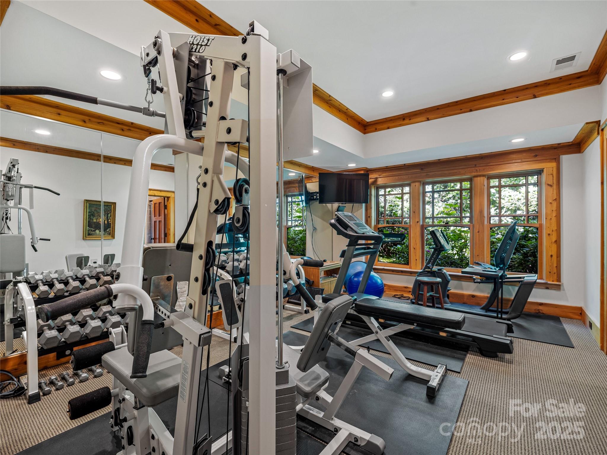 770 Mdw Rdg Drive Lake Toxaway, NC 28747 - Photo 32 of 48 a room with musical instruments