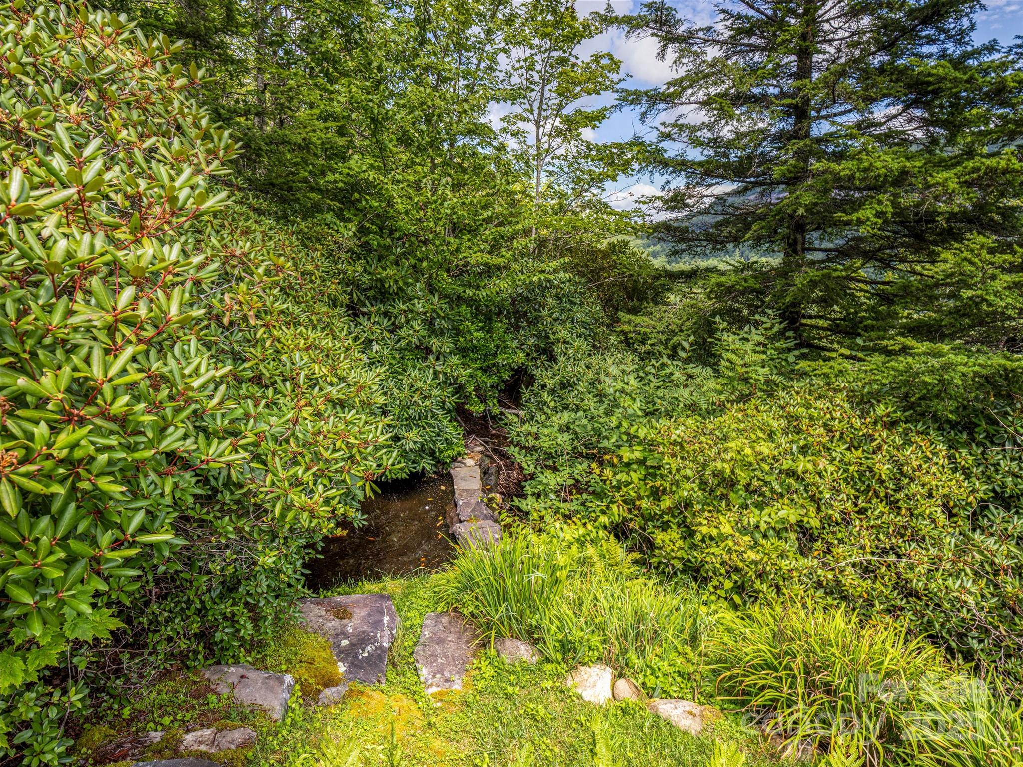 770 Mdw Rdg Drive Lake Toxaway, NC 28747 - Photo 44 of 48 a backyard of a house with lots of plants