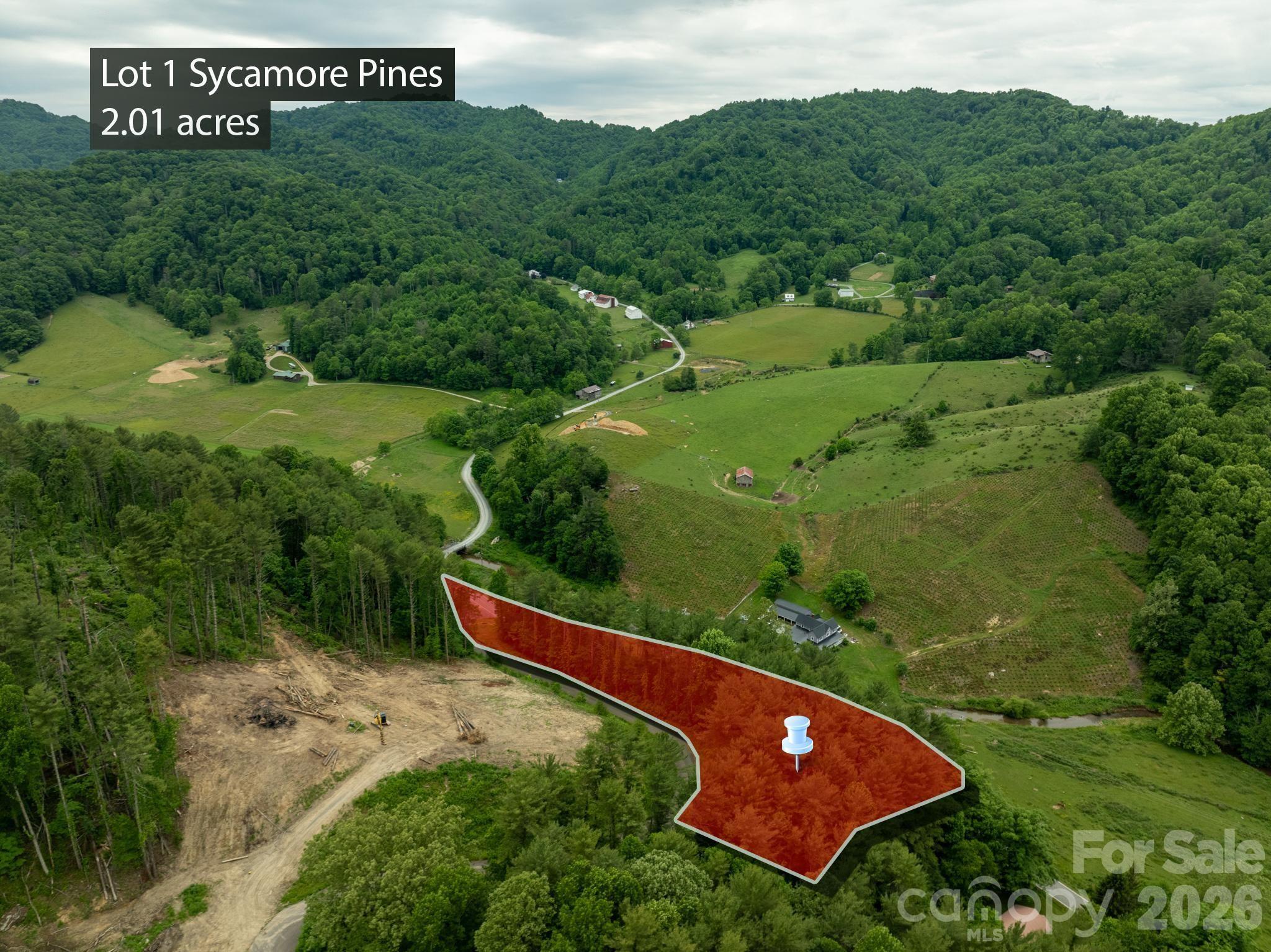 Tbd Tbd Sycamore Road Vilas, NC 28692 - Photo 5 of 38