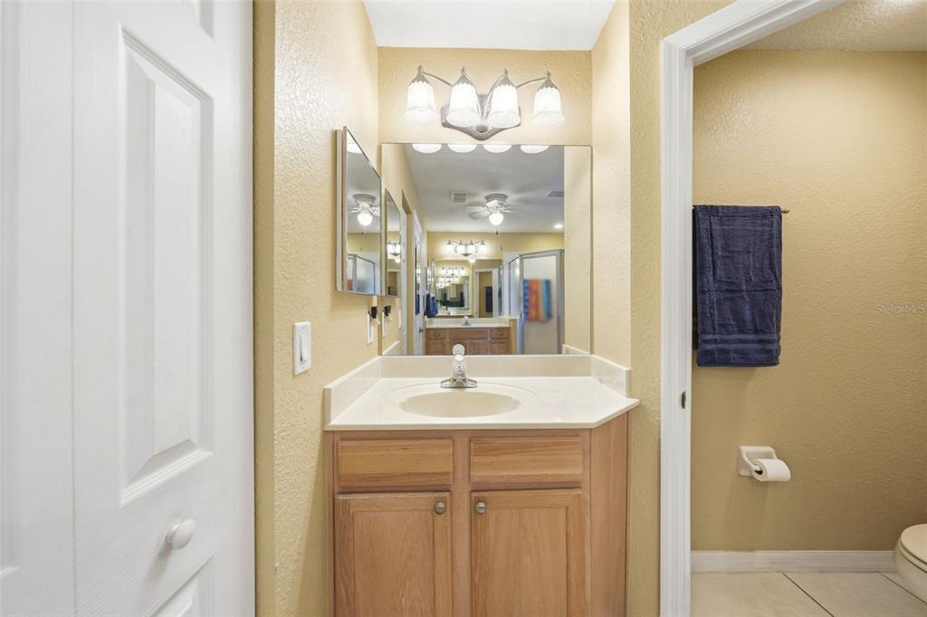 17083 Southeast 115th Terrace Road Summerfield, FL 34491 - Photo 26 of 61 a sink and a mirror with shower curtain