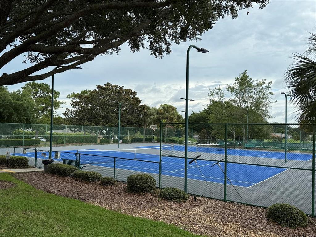 17083 Southeast 115th Terrace Road Summerfield, FL 34491 - Photo 52 of 61