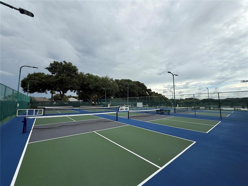 17083 Southeast 115th Terrace Road Summerfield, FL 34491 - Photo 53 of 61