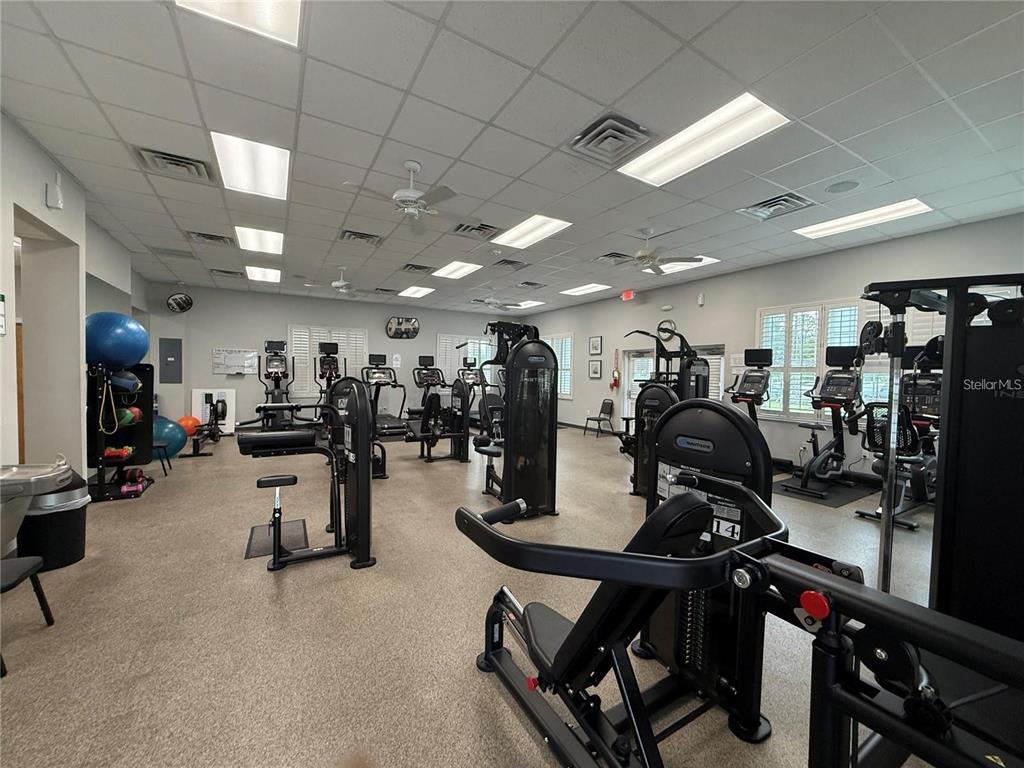 17083 Southeast 115th Terrace Road Summerfield, FL 34491 - Photo 59 of 61