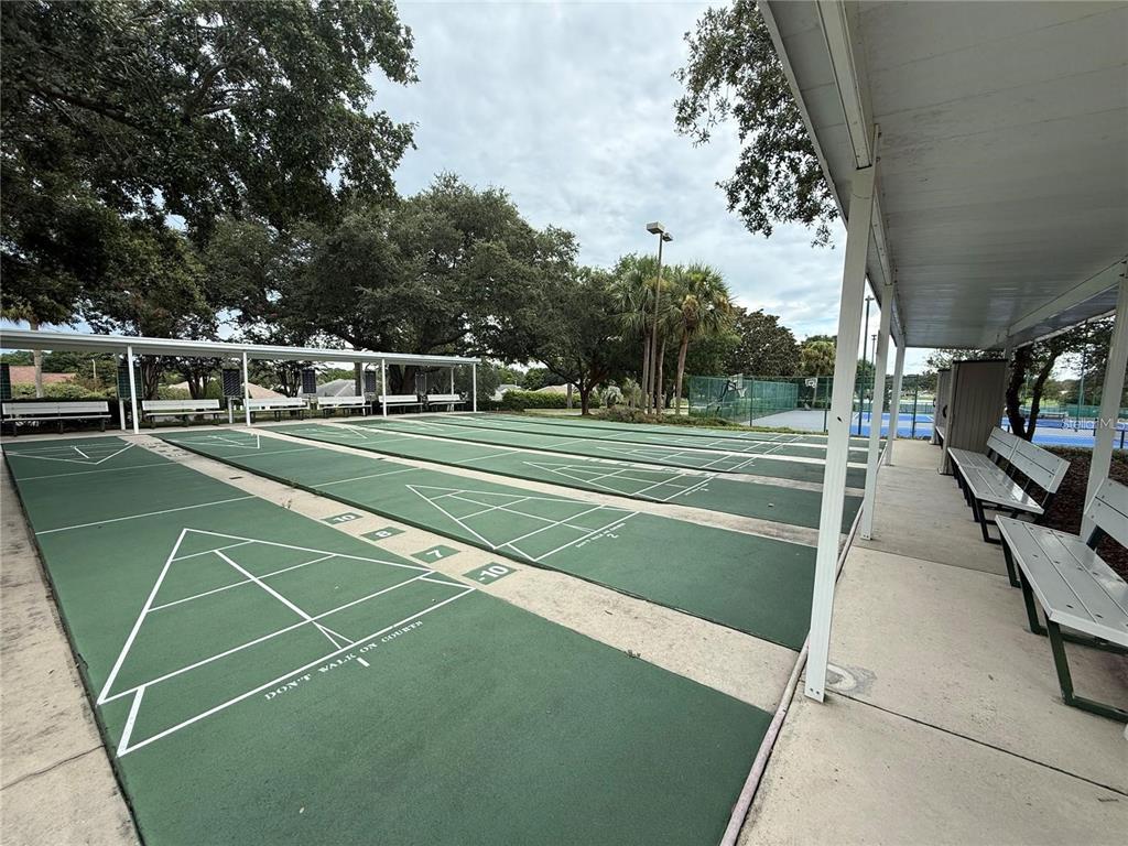 17083 Southeast 115th Terrace Road Summerfield, FL 34491 - Photo 61 of 61