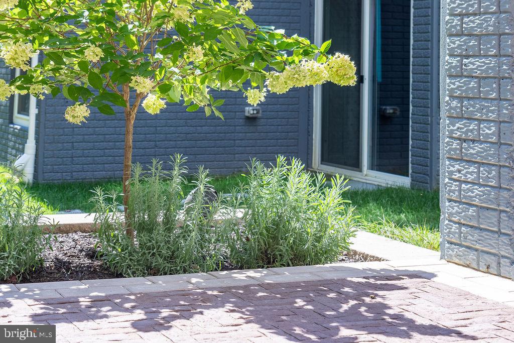 143 Stilly Way Annapolis, MD 21403 - Photo 49 of 60 a front view of a house with a tree