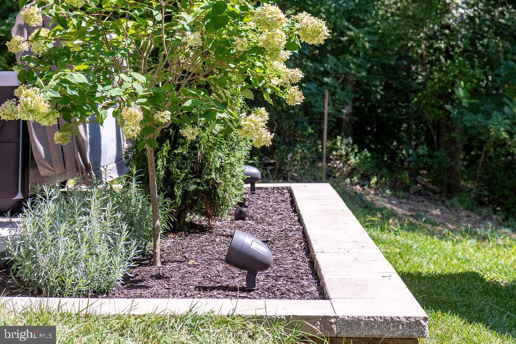 143 Stilly Way Annapolis, MD 21403 - Photo 50 of 60 a view of a backyard