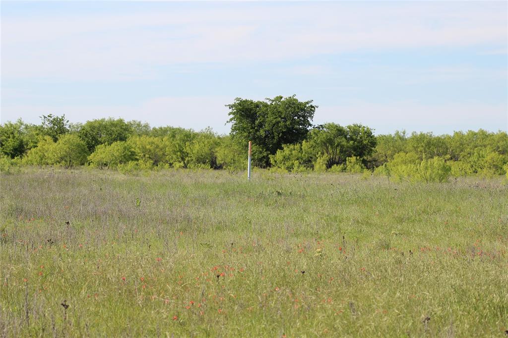 2077 B Shawver Road Jacksboro, TX 76458 - Photo 11 of 17 a view of a field with trees in background