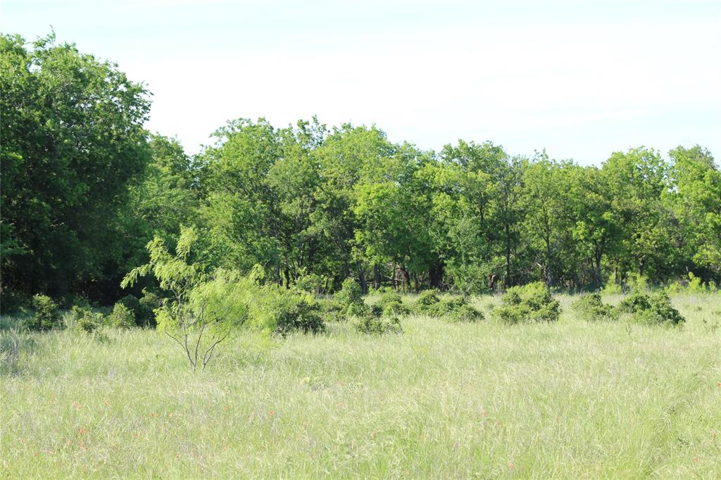 2077 B Shawver Road Jacksboro, TX 76458 - Photo 13 of 17 a view of a yard with a tree