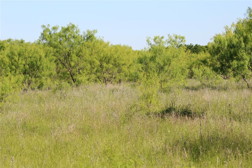 2077 B Shawver Road Jacksboro, TX 76458 - Photo 14 of 17 a view of a lake with a garden