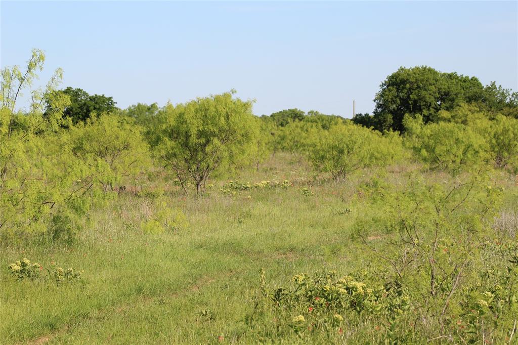 2077 B Shawver Road Jacksboro, TX 76458 - Photo 16 of 17 a view of a bunch of trees and bushes
