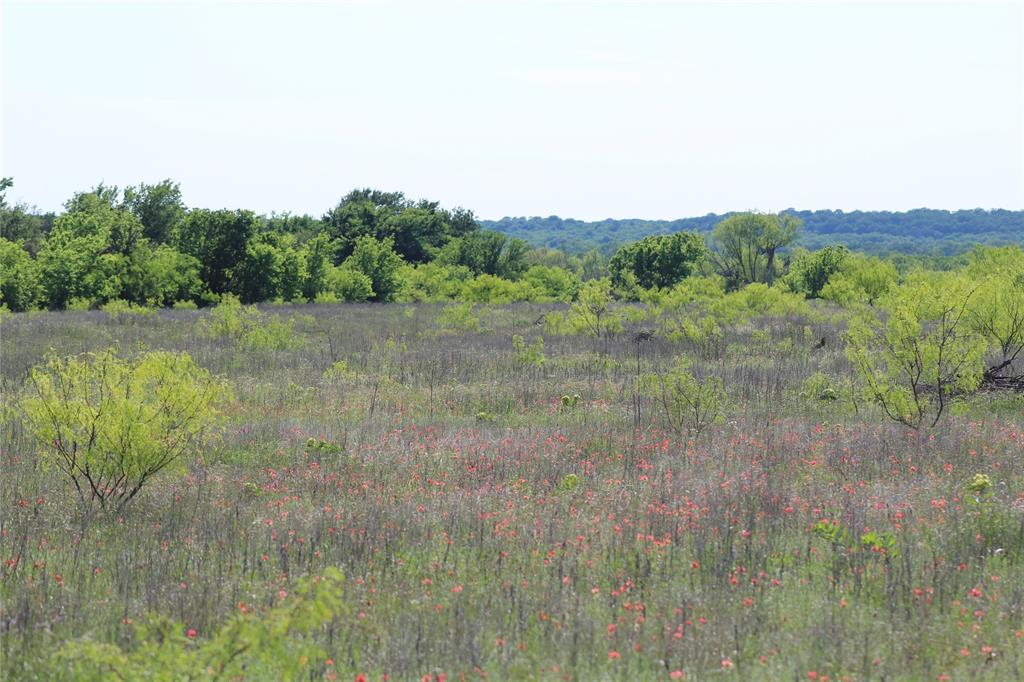 2077 B Shawver Road Jacksboro, TX 76458 - Photo 17 of 17 a view of a lush green forest with a lake view