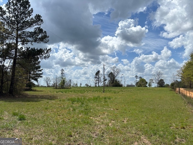0 Blume Road Mitchell, GA 30820 - Photo 1 of 1 a view of a big yard with lots of green space