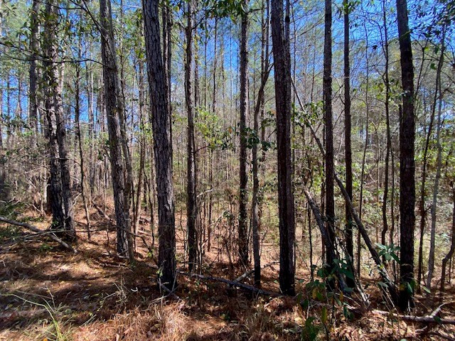 0 Highway 84 Roxie, MS 39661 - Photo 12 of 16 Photo 12