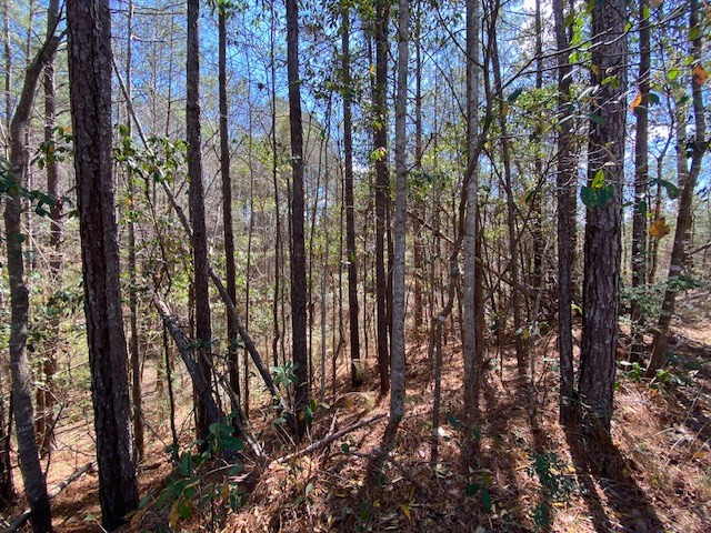 0 Highway 84 Roxie, MS 39661 - Photo 13 of 16 Photo 13