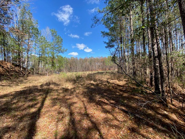 0 Highway 84 Roxie, MS 39661 - Photo 14 of 16 Photo 14