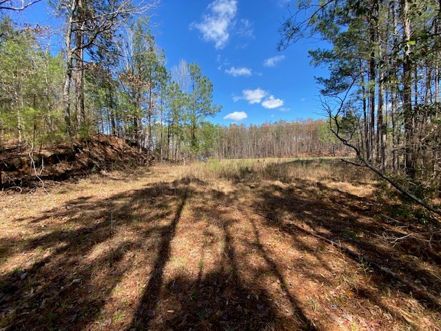 0 Highway 84 Roxie, MS 39661 - Photo 15 of 16 Photo 15