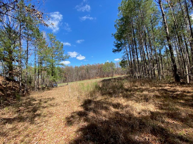 0 Highway 84 Roxie, MS 39661 - Photo 16 of 16 Photo 16