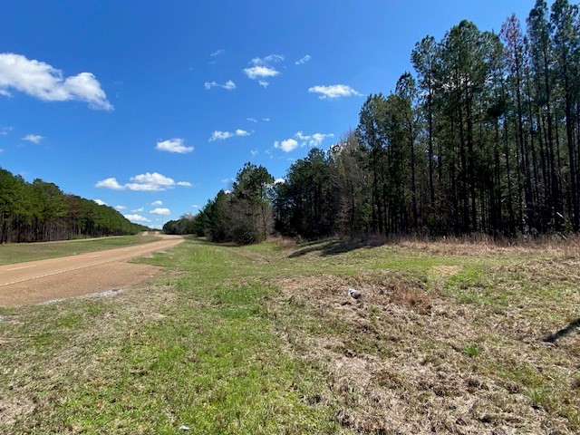 0 Highway 84 Roxie, MS 39661 - Photo 2 of 16 Photo 2