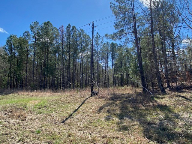 0 Highway 84 Roxie, MS 39661 - Photo 3 of 16 Photo 3