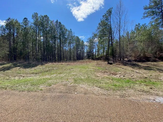$22,500 | 0 Highway 84, Roxie, MS 39661