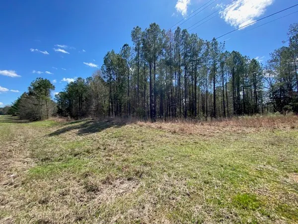 $22,500 | 0 Highway 84, Natchez, MS 39120