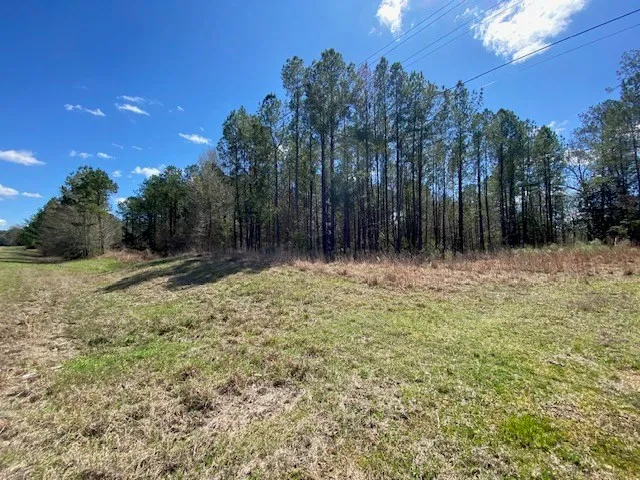 $22,500 | 0 Highway 84, Roxie, MS 39661