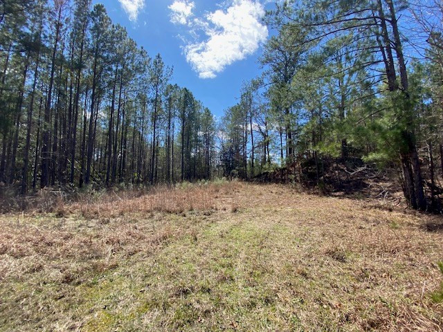 0 Highway 84 Roxie, MS 39661 - Photo 7 of 16 Photo 7