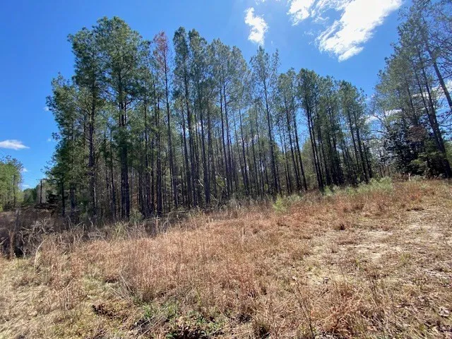 $22,500 | 0 Highway 84, Roxie, MS 39661