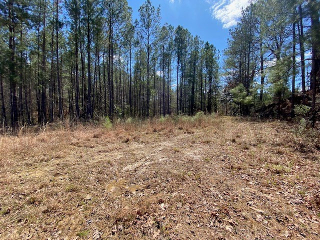 0 Highway 84 Roxie, MS 39661 - Photo 10 of 16 Photo 10