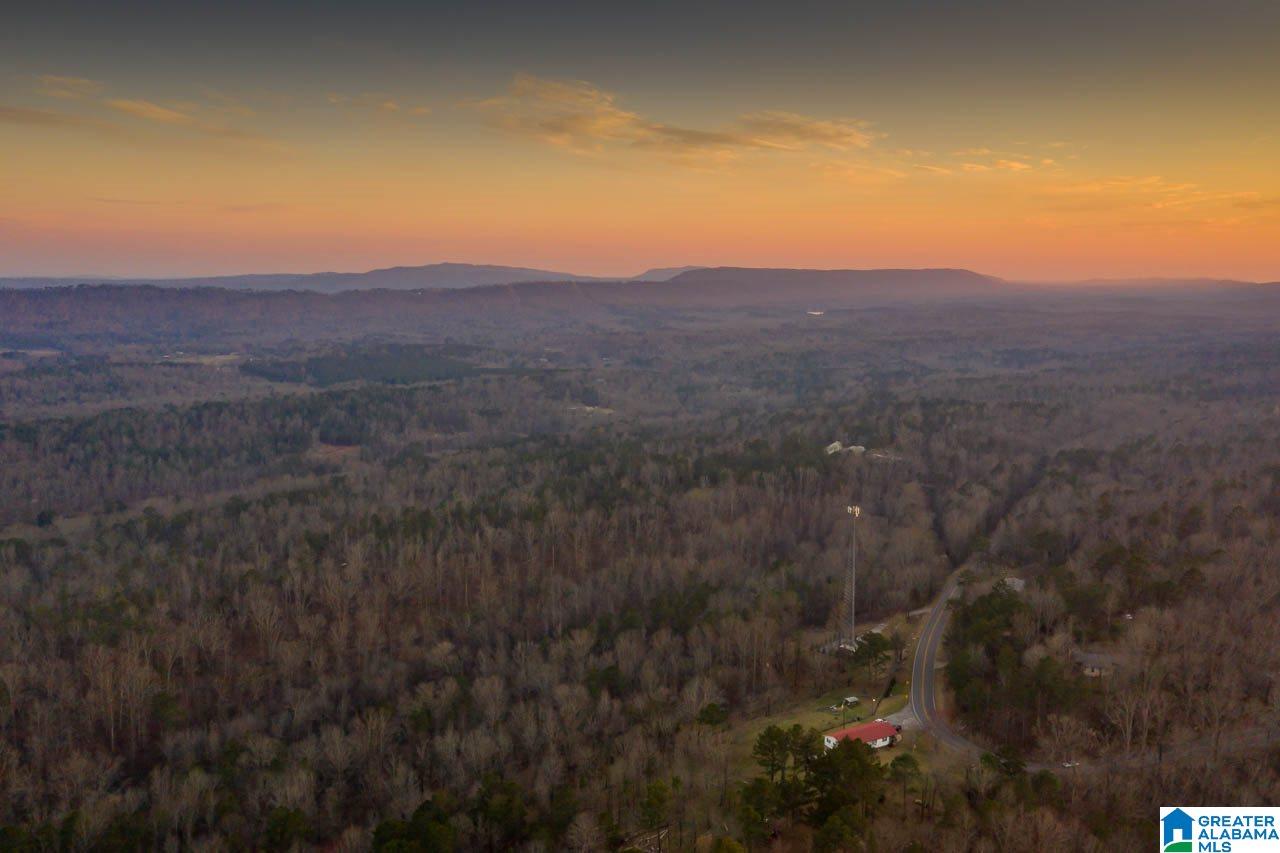 8150 Dunnavant Road, Unit 1 Leeds, AL 35094 - Photo 1 of 29