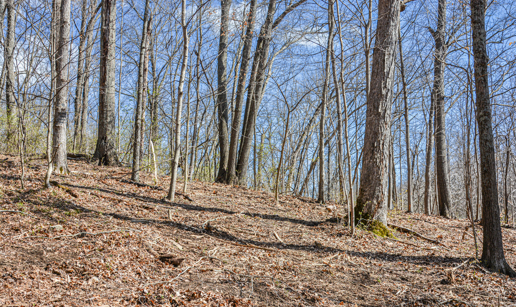 Lot 1 Idlewild Road Burlington, KY 41005 - Photo 20 of 24 Gallery Image 20