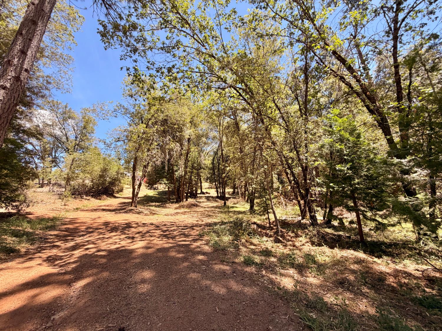 16404 Greenhorn Road Grass Valley, CA 95945 - Photo 7 of 25