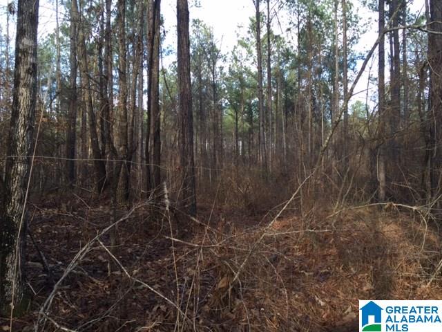 Story Road, Unit 201 Woodstock, AL 35188 - Photo 4 of 11