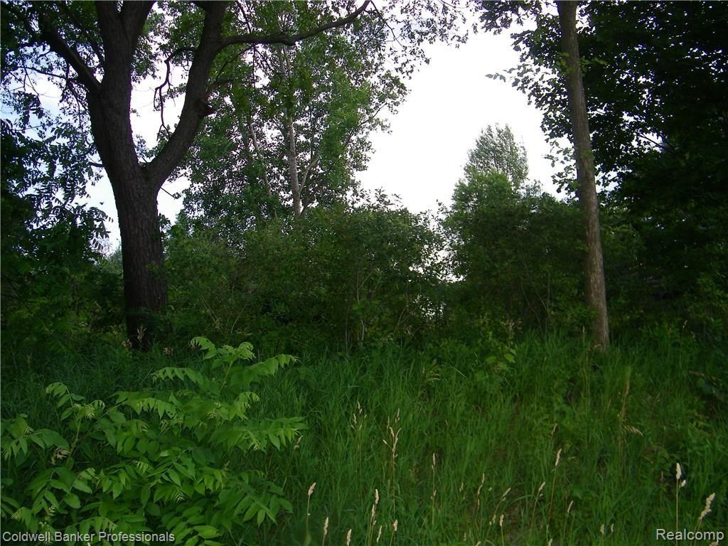 2 Martus Road North Branch, MI 48461 - Photo 8 of 8