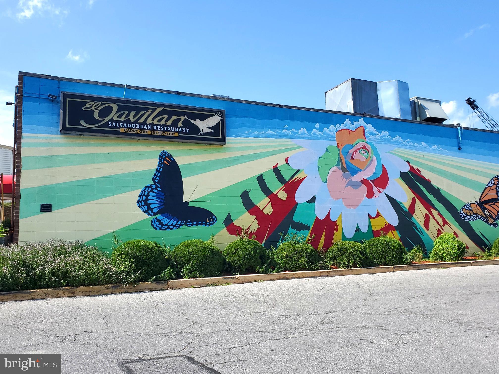 8512-12-2 Manchester Road, Unit 122 Silver Spring, MD 20901 - Photo 36 of 40 Gavilan Mural - Salvadoran Cuisine