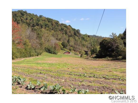 0 Sprinkle Branch Road Marshall, NC 28753 - Photo 1 of 4 Gallery Image 1