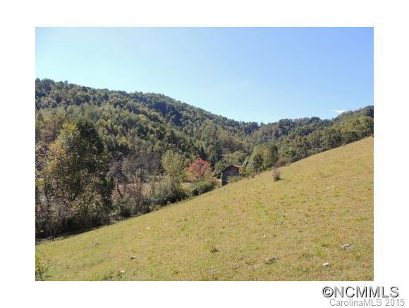 0 Sprinkle Branch Road Marshall, NC 28753 - Photo 3 of 4 Gallery Image 3