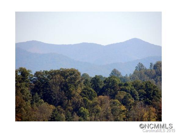 0 Sprinkle Branch Road Marshall, NC 28753 - Photo 4 of 4 Gallery Image 4