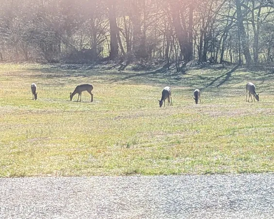 $499,900 | 2695 Leslie Road, Burkesville, KY 42717