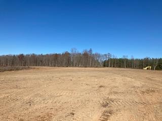 601 Forest Chapel Road Pamplin, VA 23958 - Photo 1 of 5 Gallery Image 1