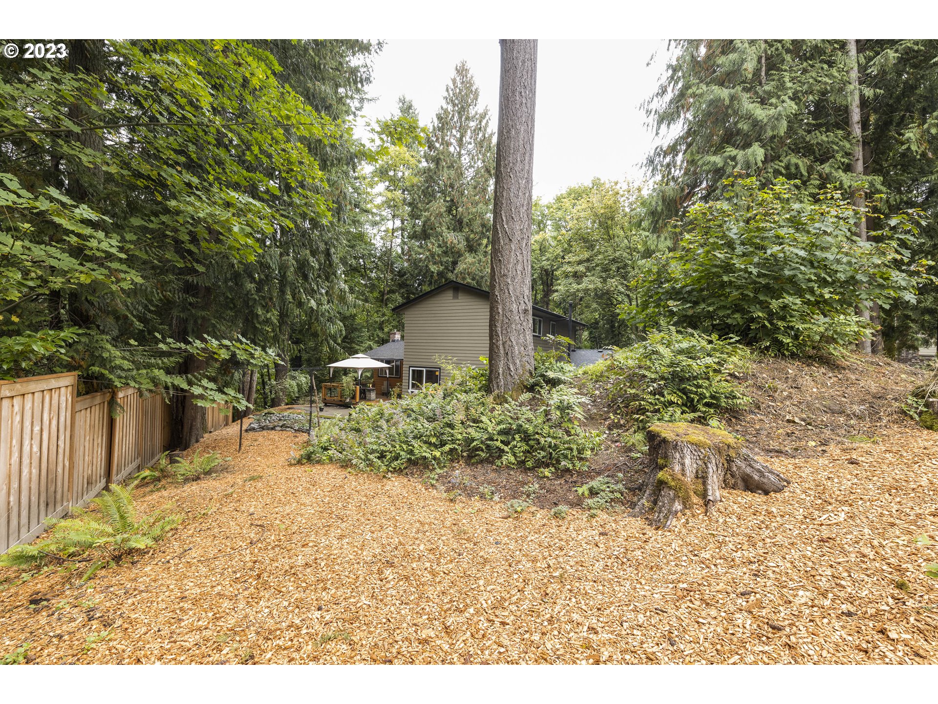 9732 Southwest 18th Place Portland, OR 97219 - Photo 45 of 45 a view of a yard covered with trees