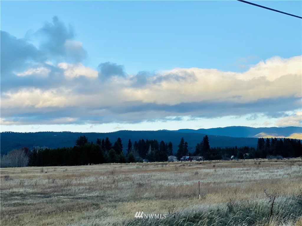 3 Lot Road Cle Elum, WA 98922 - Photo 4 of 5 Gallery Image 4
