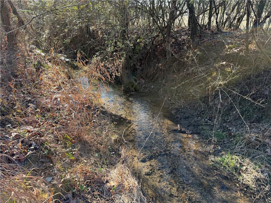 0 Liberty Church Road Northeast Ranger, GA 30734 - Photo 22 of 31 Gallery Image 22
