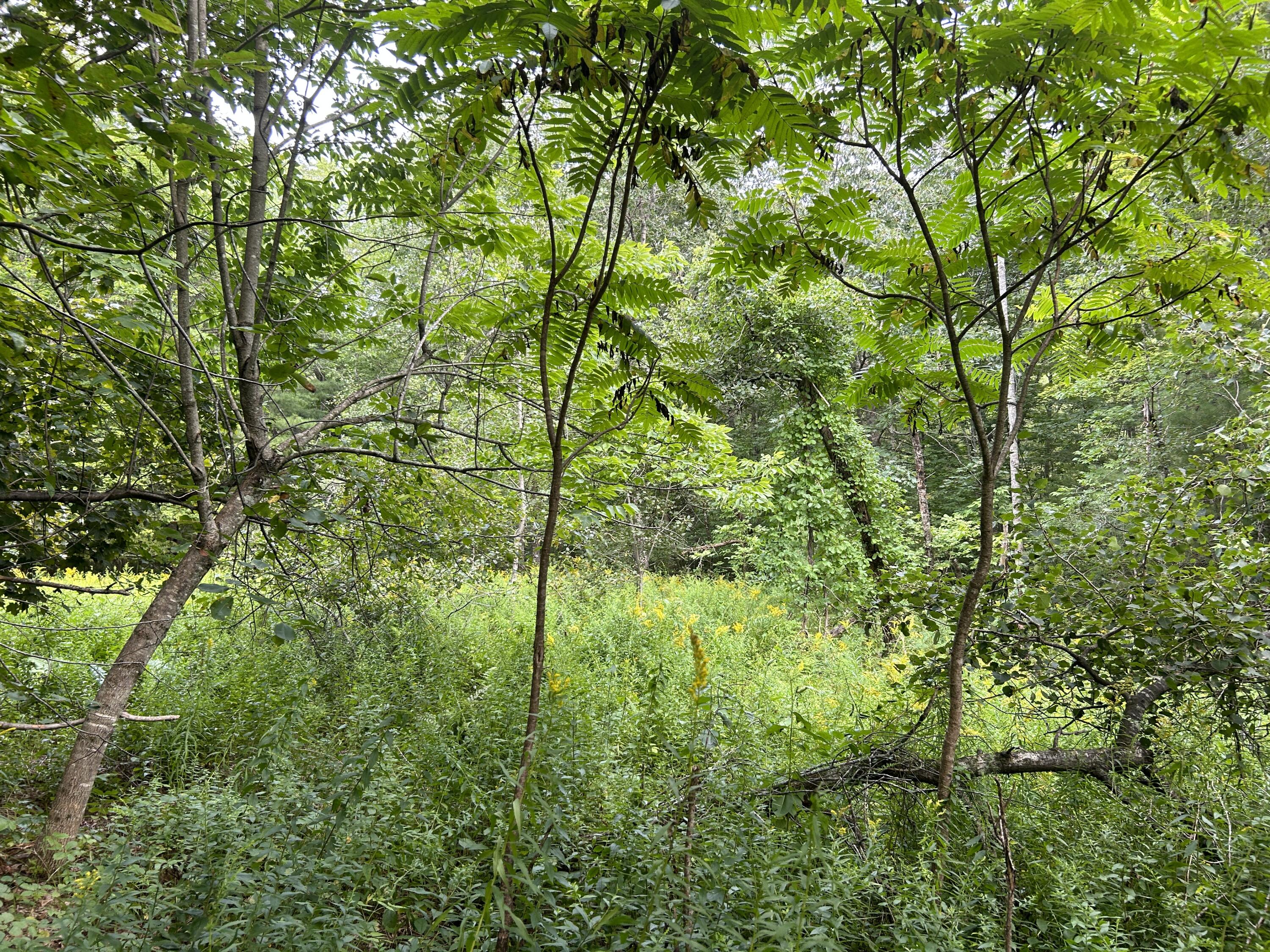 564 Gardiner Road Whitefield, ME 04353 - Photo 1 of 14 4E53648F-52D4-4032-AF9D-77DBCCD1245E