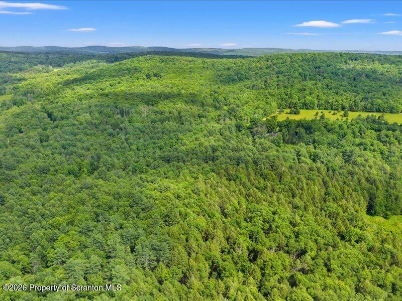 Stanley Lake Road Friendsville, PA 18818 - Photo 4 of 15 Overview