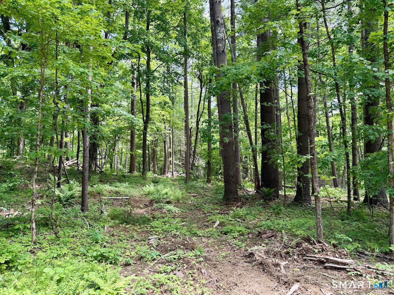 0 Great Hollow Road West Cornwall, CT 06796 - Photo 10 of 10