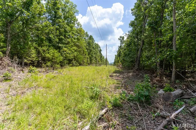 $42,750 | 0 Cr537 (tract 8), Fredericktown, MO 63645