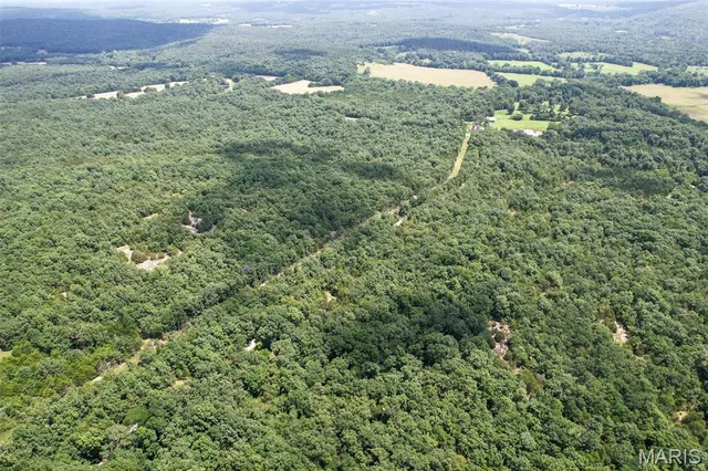 $42,750 | 0 Cr537 (tract 8), Fredericktown, MO 63645