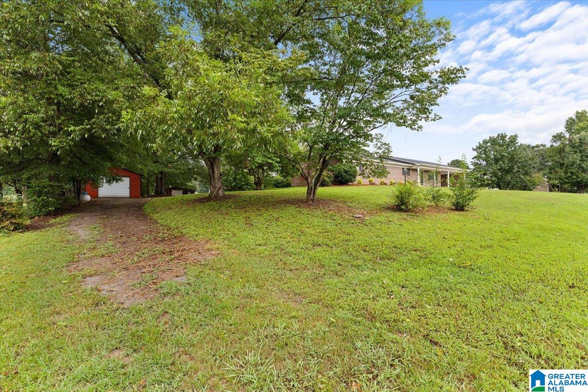 380 Jerry Marsh Road Cleveland, AL 35049 - Photo 38 of 44 Gallery Image 38